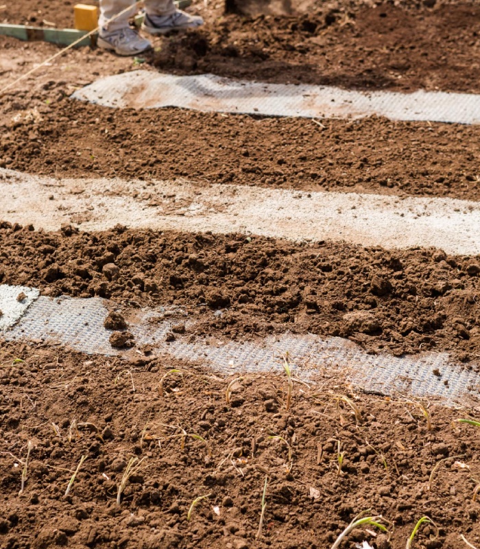 Travaux de terrassement avec décaissement et préparation du sol