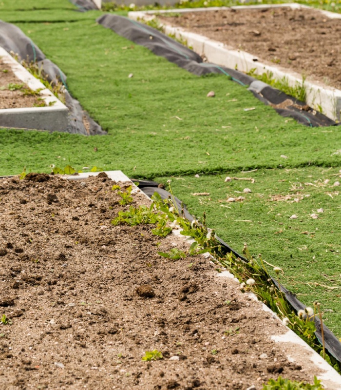 Préparation et nivellement d’un terrain avant l’aménagement d’un jardin